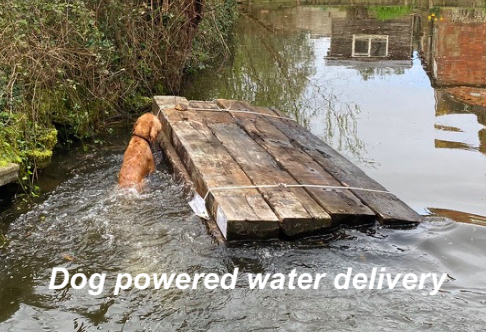 Dog powered water delivery of railway sleepers. Railwaysleepers.com