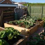 FIVE OF THE BEST! KEITH'S RAISED VEGETABLE BEDS WITH NEW RAILWAY SLEEPERS