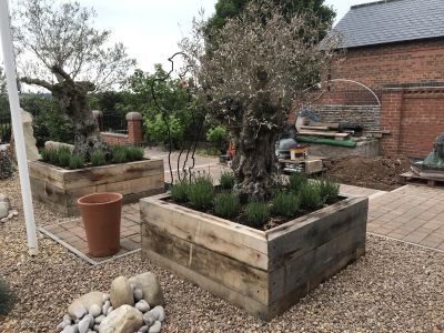 ROB'S COLLECTION OF OLIVE TREE PLANTERS WITH NEW OAK RAILWAY SLEEPERS