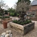 ROB'S COLLECTION OF OLIVE TREE PLANTERS WITH NEW OAK RAILWAY SLEEPERS
