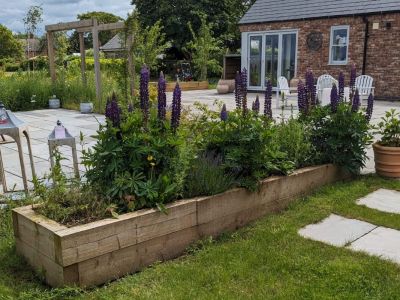 PERRY'S COLOURFUL COLLECTION OF RAISED BEDS WITH NEW PINE RAILWAY SLEEPERS 